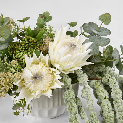 Protea King Stem 75Cm White