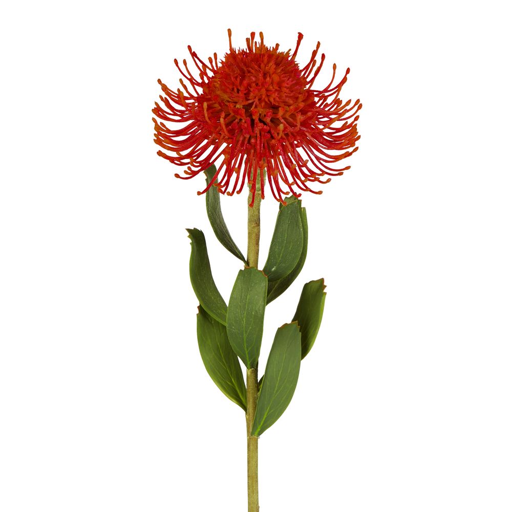 Pincushion Flower Stem 58Cm Red