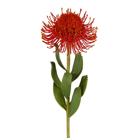 Pincushion Flower Stem 58Cm Red