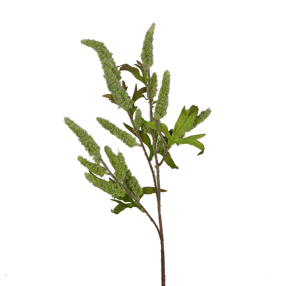 Sage Stem 70Cm Green