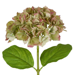 Hydrangea Stem Soft Touch 50cm Green