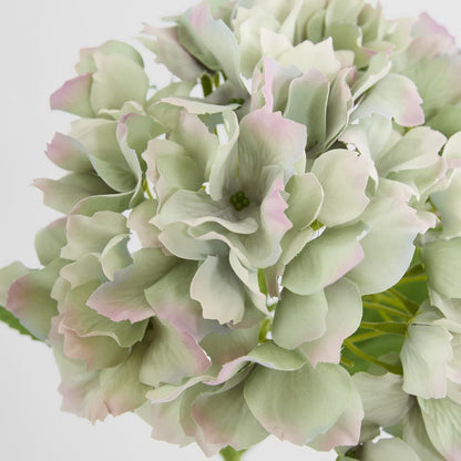 Hydrangea Stem Soft Touch 50cm Green