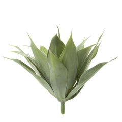Agave Bush 41Cm W/19 Leaves Green