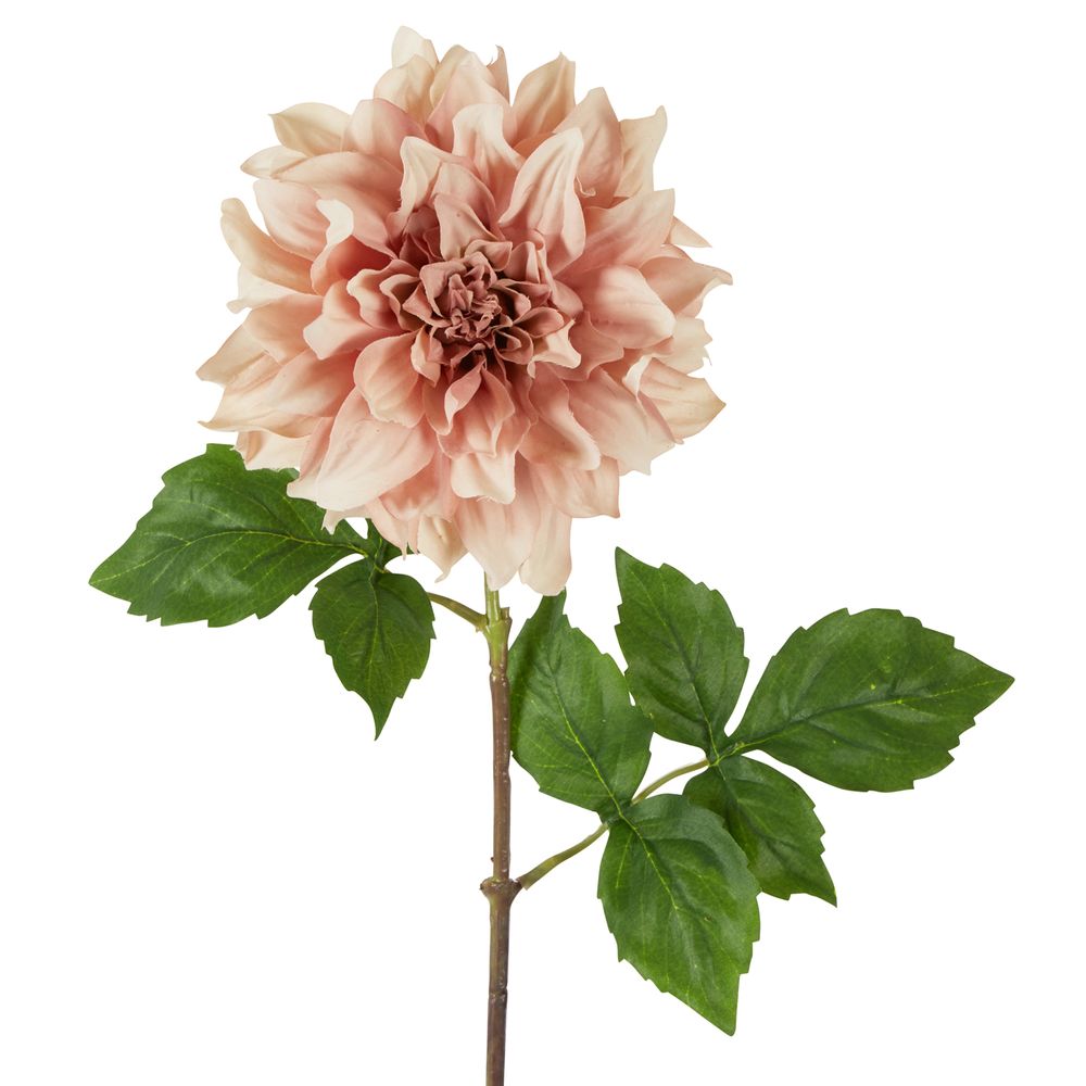 Dried Look Dahlia Stem Large 61Cm Light Pink