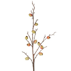 Fruit Berry Branch Stem Pink