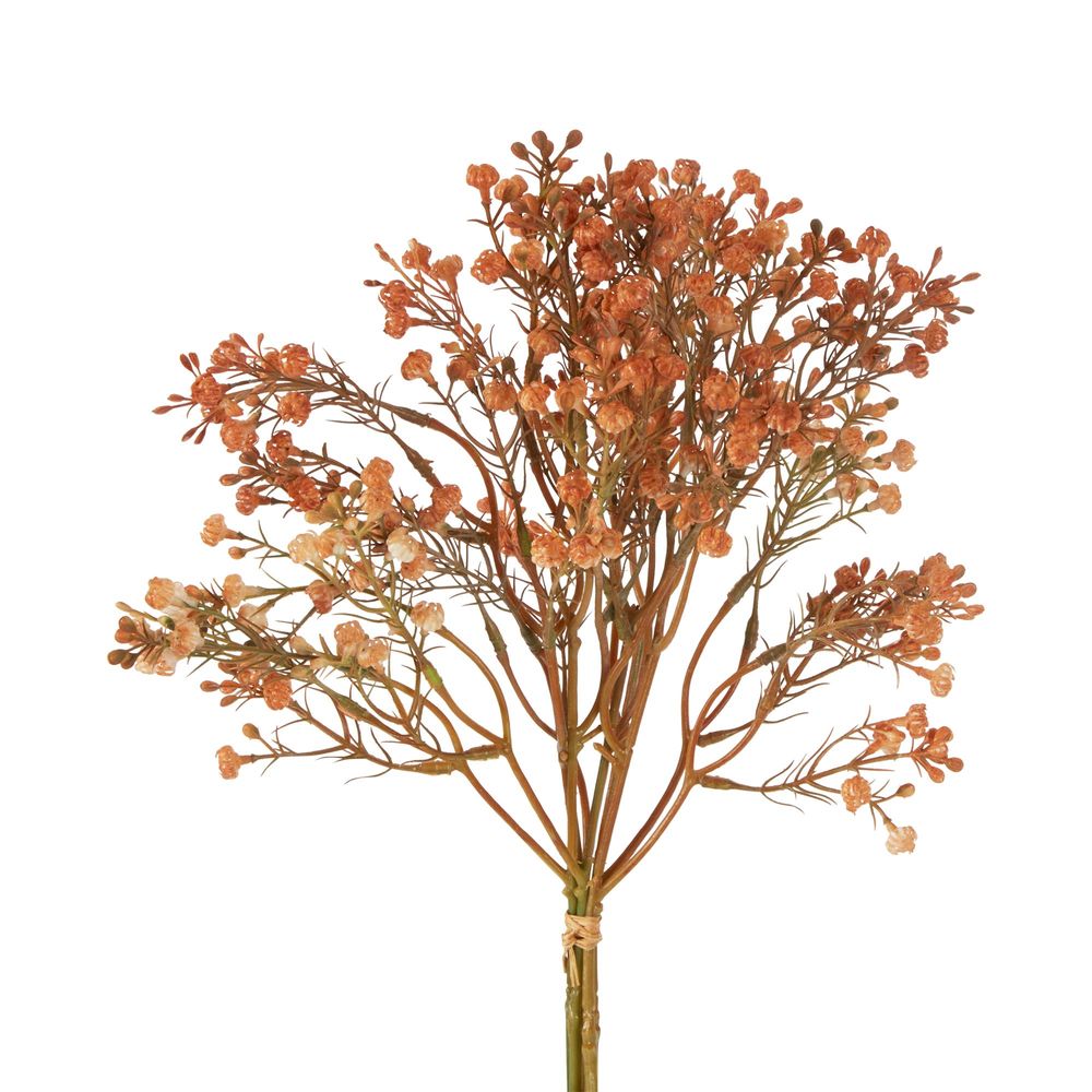 Baby'S Breath Bundle Apricot