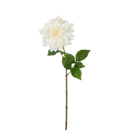 Dried Look Dahlia Stem Large 61Cm Cream