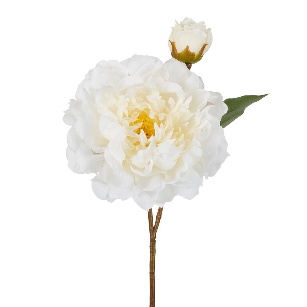 Peony Stem 61Cm White