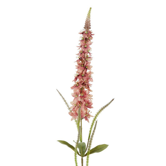 Veronica Speedwell Flower Stem 103Cm Pink