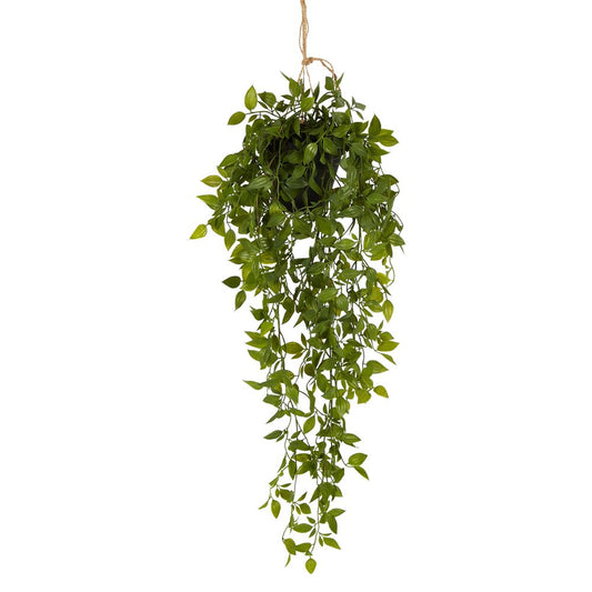 Hanging Leaves With Black Pot