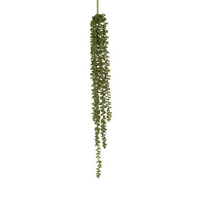 String Of Pearls Stem