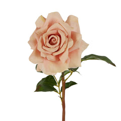 Rose True Touch 50Cm Blush