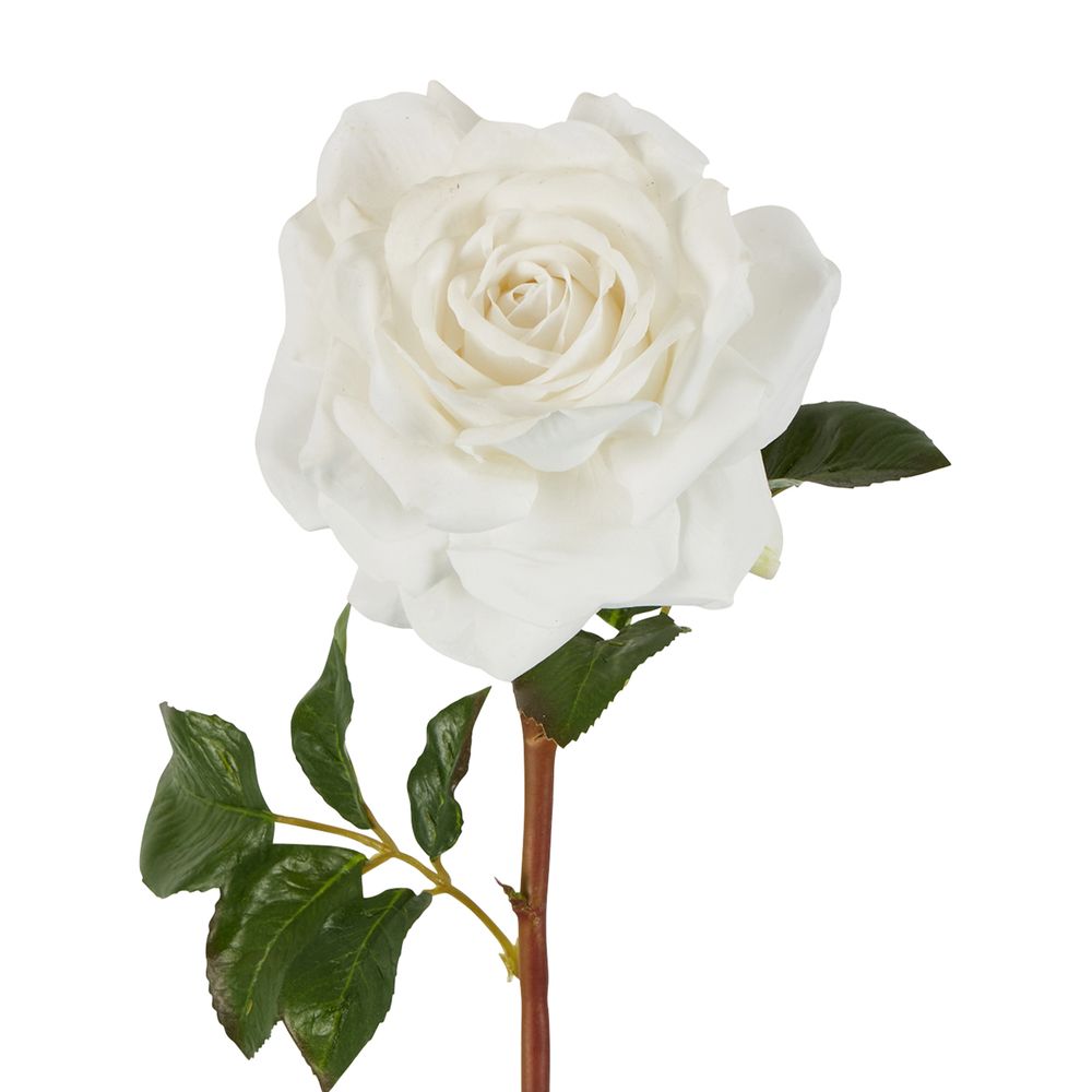 Stella Real Touch Rose Stem 50Cm White