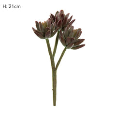 Agave Stem 20Cm Burgundy