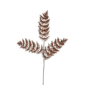 Dried Fern Leaf Stem Natural