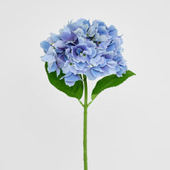 绣球花茎柔软触感50厘米蓝色