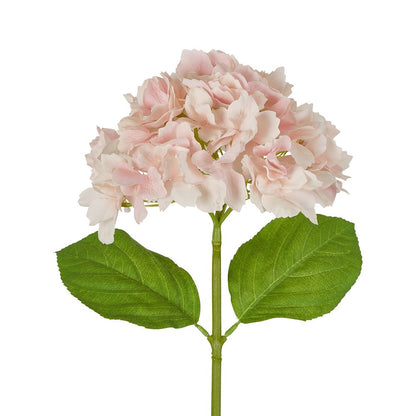 Hydrangea Stem Soft Touch 50cm  Pink