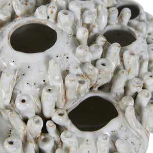 Tobago Coral Cluster Vase Sculpture White