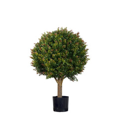 Red Day Leaf Ball Tree 85Cm