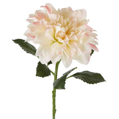 Giant Dahlia Stem 70Cm Ice Pink