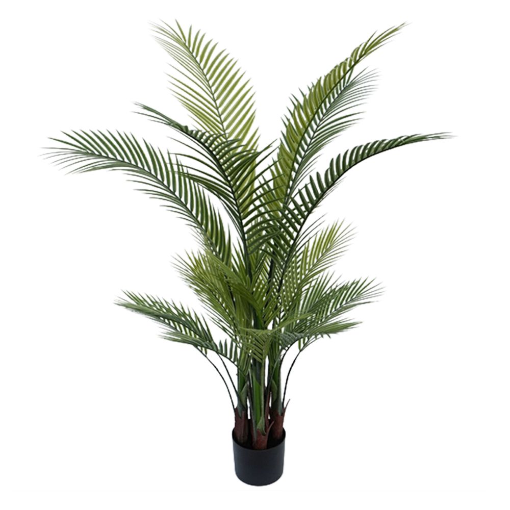 Palm Tree In Black Pot 130Cm