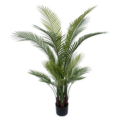 Palm Tree In Black Pot 130Cm