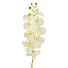 Large Moth Orchid Natural Touch Stem White