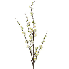 Japonica Blossom Stem 120Cm White