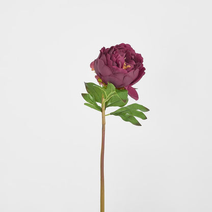 牡丹花真实触感茎深色梅花大号