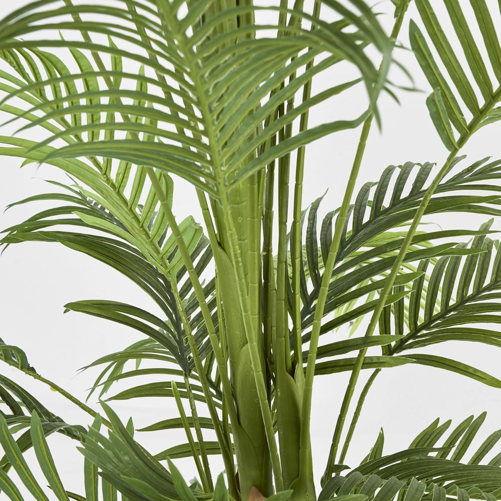 Real Touch Palm Tree In Black Pot 210Cm