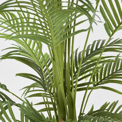 Real Touch Palm Tree In Black Pot 210Cm