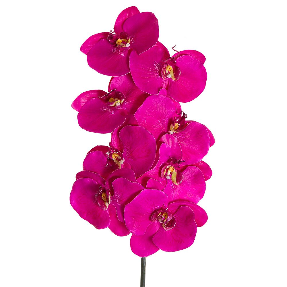 Orchid Phalaenopsis Spray 1m Mauve