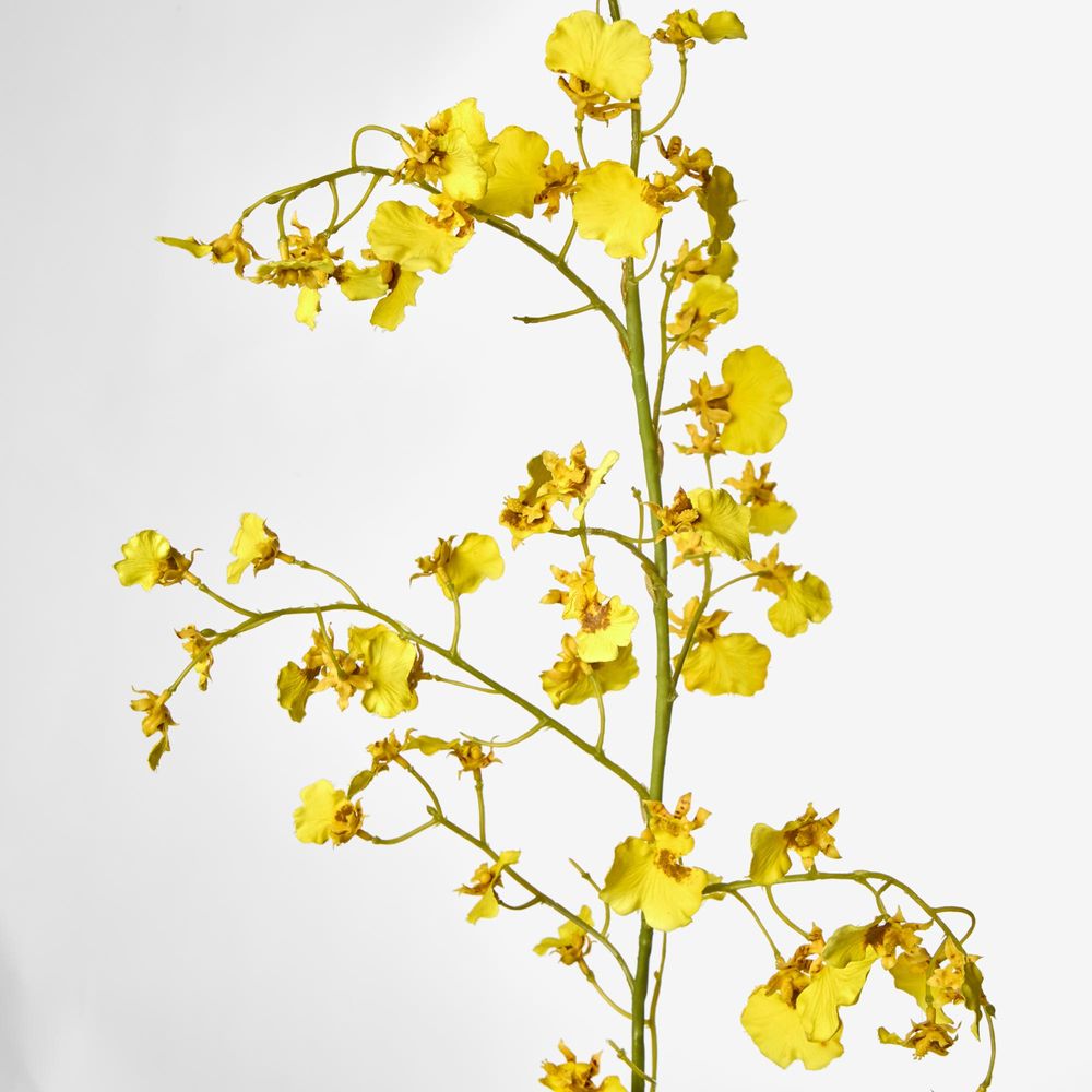 Dancing Orchid 93cm Yellow