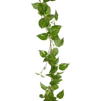 Pothos Leaf Garland Light Green