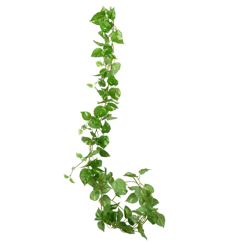 Pothos Leaf Garland Dark Green