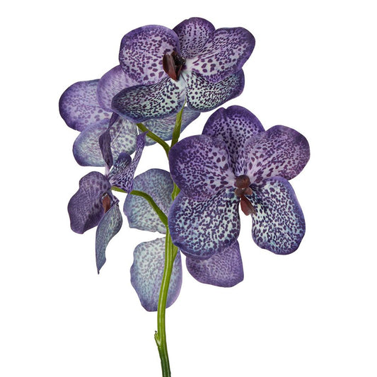 Vanda Orchid Stem 66cm Purple