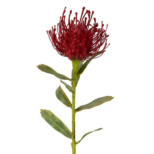 Pincushion Stem 63Cm Red