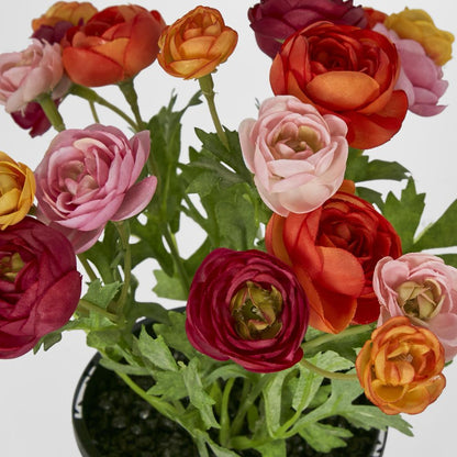 Ranunculus Bouquet Fuchsia