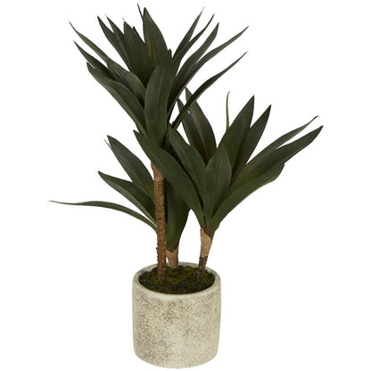 Baby Yucca In Cement Pot