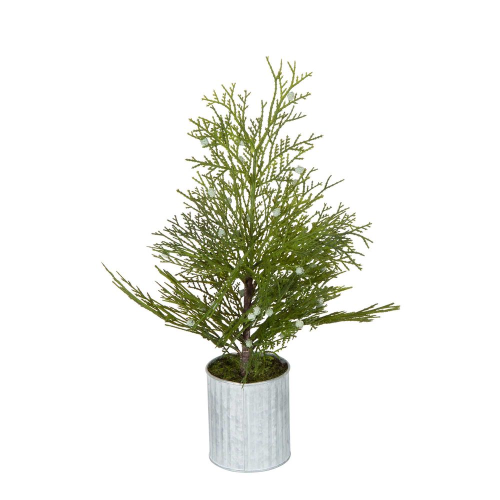 Potted Pine Tree In Tin Small