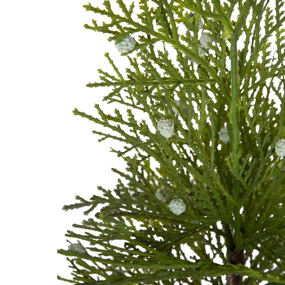 Potted Pine Tree In Tin Small