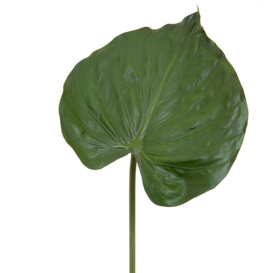 Alocasia Leaf 90Cm Green