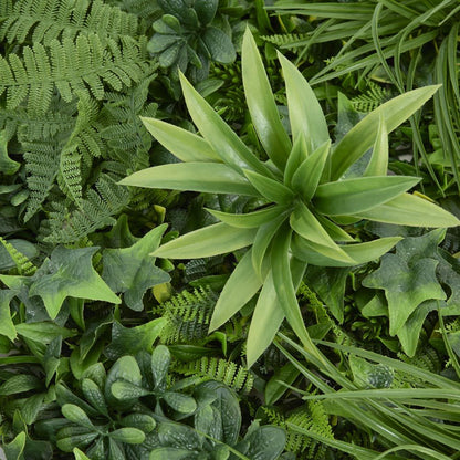 Variegated Foliage Wall Uv Treated 1X1M