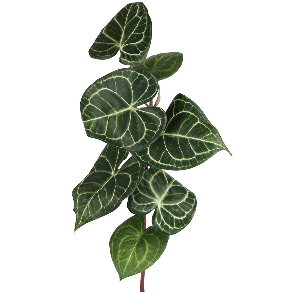 Anthurium Leaf Spray