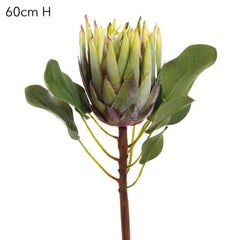 King Protea 60Cm Green