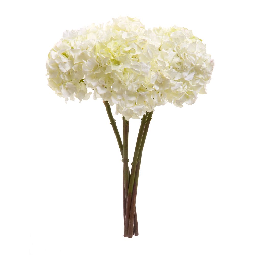 Hydrangea 50cm White