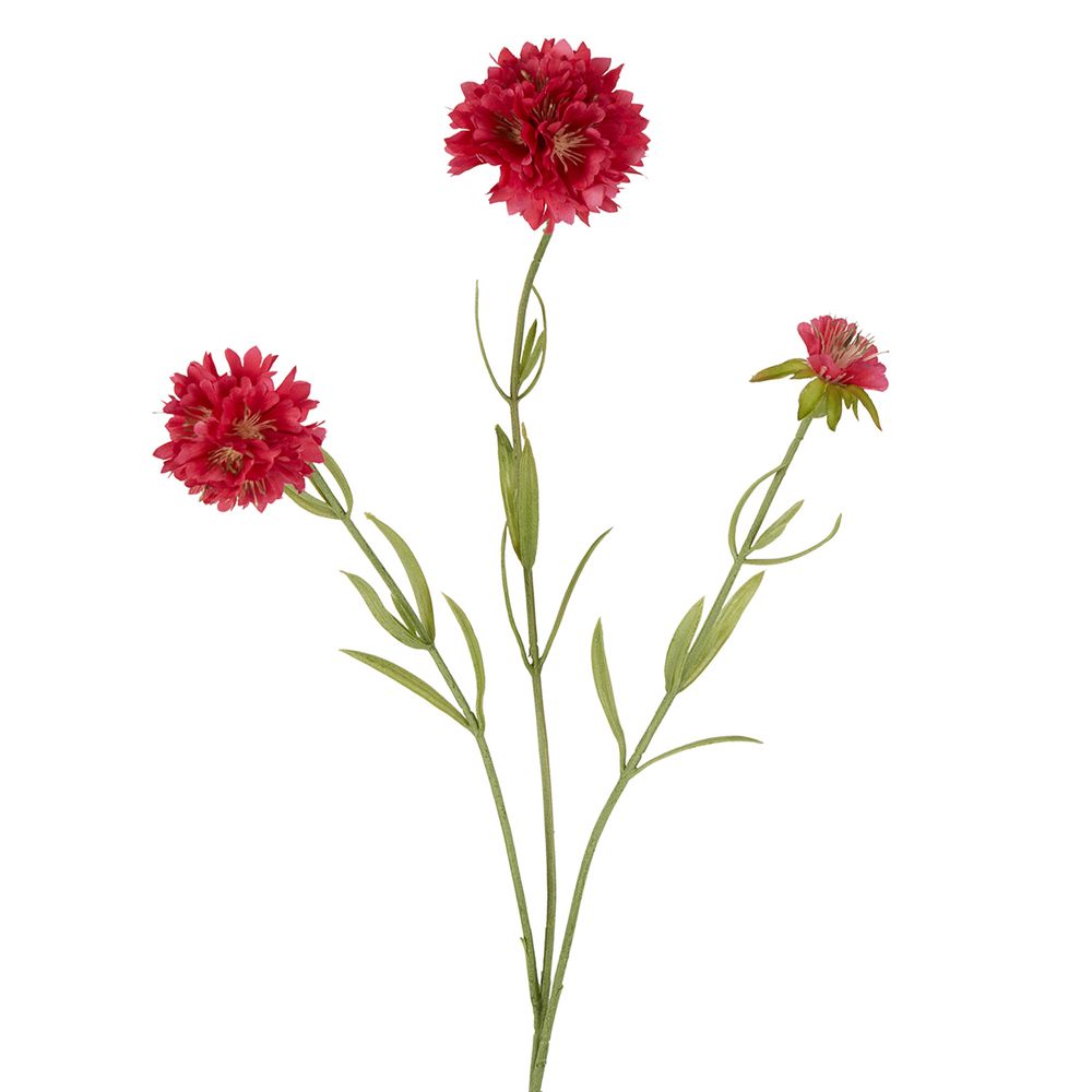 Scabiosa Stem 60Cm Dark Pink