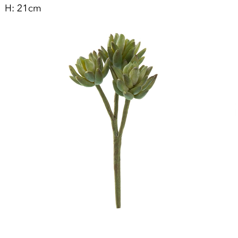 Agave Stem 20Cm Green