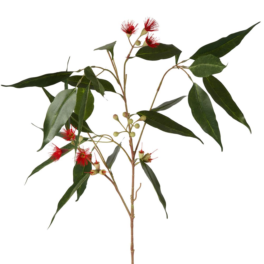 Eucalyptus Flower Spray 92Cm Red & Green