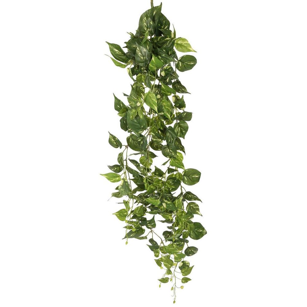 Pothos Hanging Bush 8 Branches
